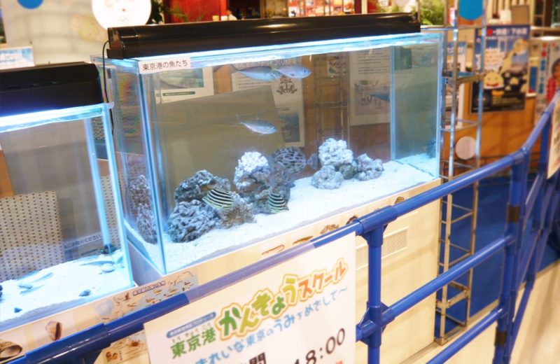 アクアシティお台場 イベント会場 120cm海水魚水槽 水槽短期レンタル事例 水槽画像1