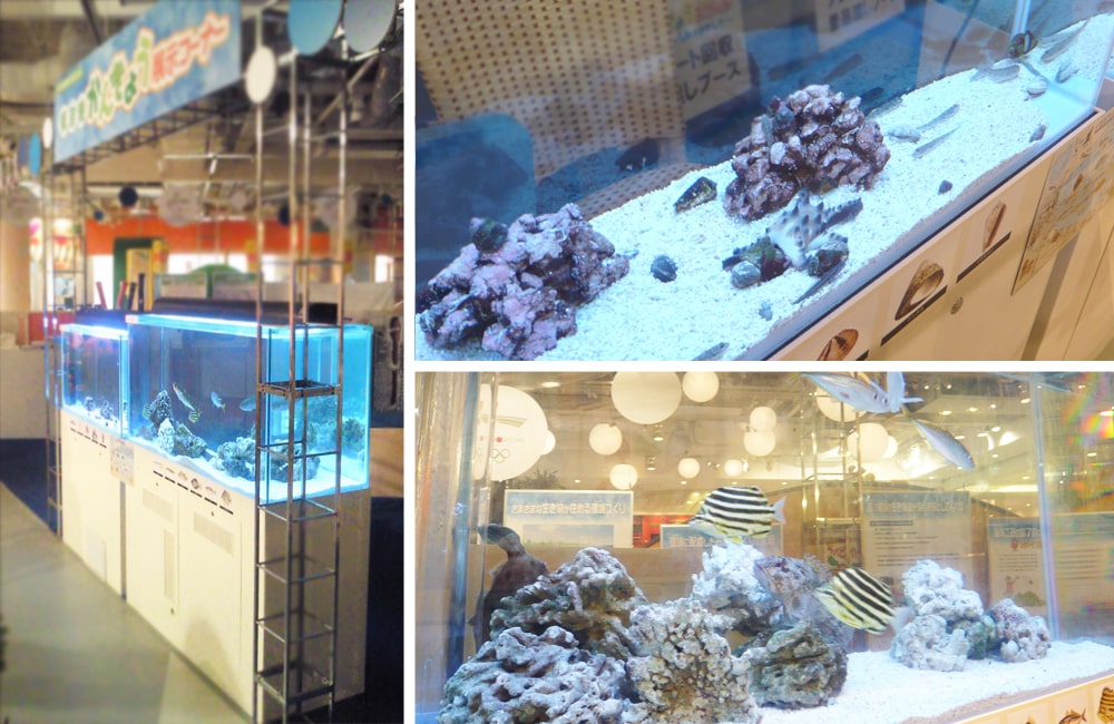 イベント会場に並ぶ海水魚水槽と展示コーナーの風景