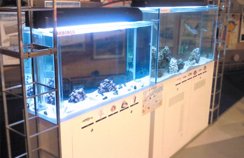 アクアシティお台場 イベント会場 120cm海水魚水槽 水槽短期レンタル事例 水槽画像3