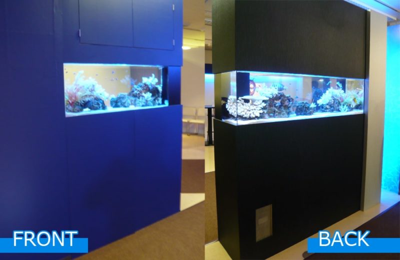 百貨店 販売会会場 120cm海水魚水槽 短期レンタルサービス事例 水槽画像3