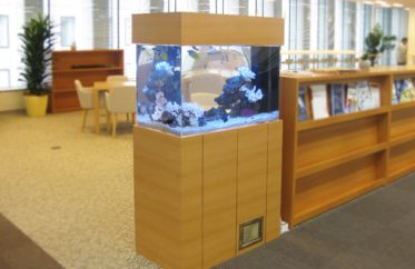 千代田区　おしゃれなオフィスに設置　90cm海水魚水槽　水槽レンタル事例