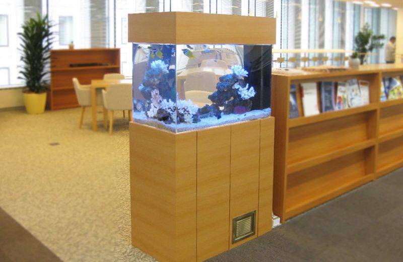 千代田区 おしゃれなオフィスに設置 90cm海水魚水槽 水槽レンタル事例 水槽画像1