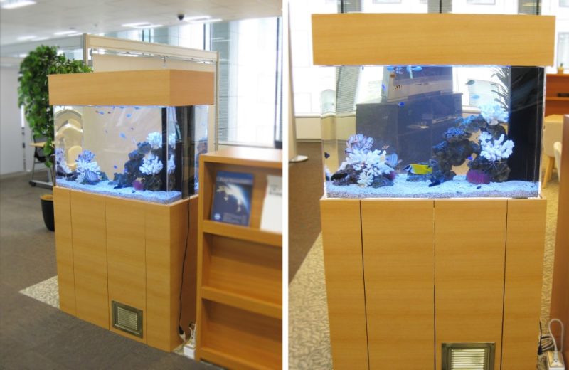千代田区 おしゃれなオフィスに設置 90cm海水魚水槽 水槽レンタル事例 水槽画像2