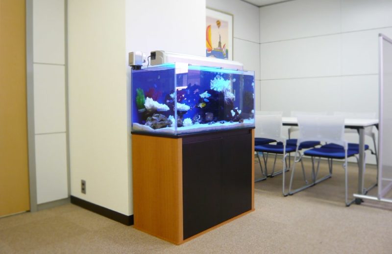 千代田区 企業様 オフィスの応接室 90cm海水魚水槽 レンタル事例 水槽画像1