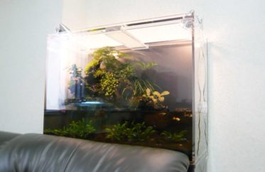 オフィスに設置　緑あふれる アクアテラリウム　水槽販売・メンテナンス事例