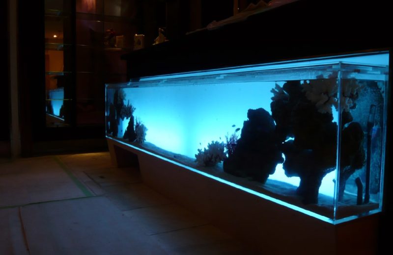 飲食店　受付カウンターに260cm海水魚水槽を設置　水槽販売・メンテナンス事例 水槽画像１
