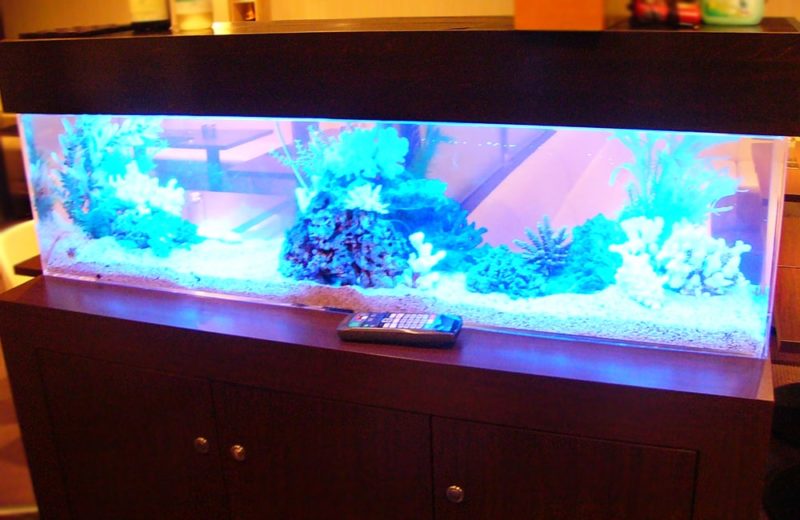 飲食店に設置 360度から見れる150cm海水魚水槽 水槽レンタル事例 水槽画像1