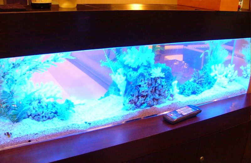 飲食店に設置 360度から見れる150cm海水魚水槽 水槽レンタル事例 水槽画像2
