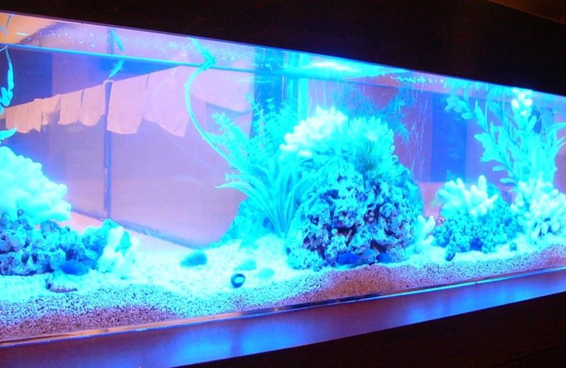 飲食店に設置 360度から見れる150cm海水魚水槽 水槽レンタル事例 水槽画像3