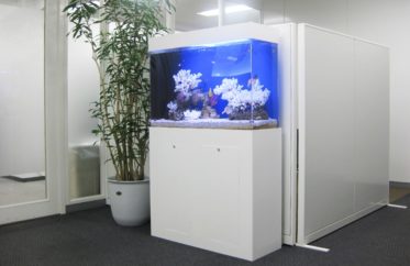 千代田区企業様　オフィス　90cm海水魚水槽　水槽レンタル事例