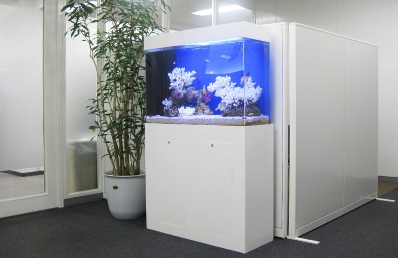 千代田区企業様 オフィス 90cm海水魚水槽 水槽レンタル事例 水槽画像1