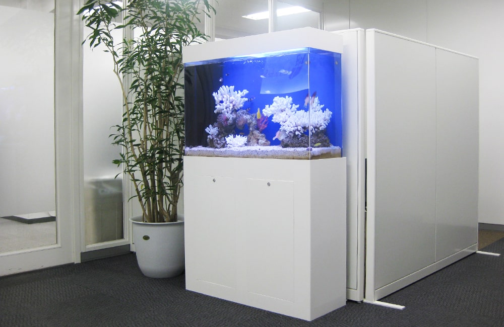 千代田区企業様　オフィス　90cm海水魚水槽　水槽レンタル事例のサムネイル画像