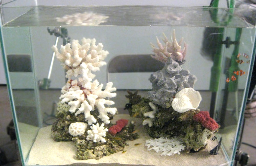 CM撮影協力 60cm海水魚水槽 水槽短期レンタルサービス事例のサムネイル画像