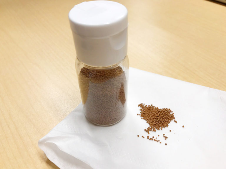 白い容器に入った茶色の魚用人工飼料と紙の上の粒状エサ