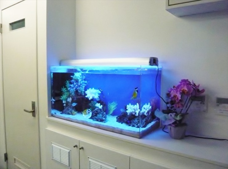 白い壁際に設置された海水魚水槽と横に置かれた紫色の花