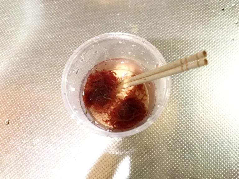 プラスチック容器に入った赤虫とつまようじ