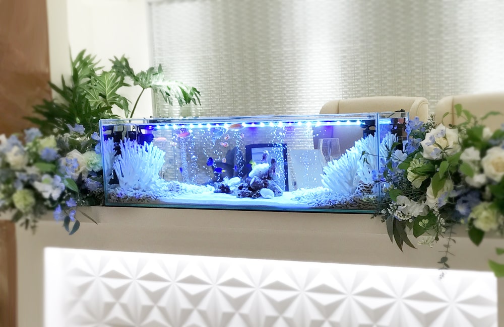 白い花に囲まれた青い照明の横長海水魚水槽