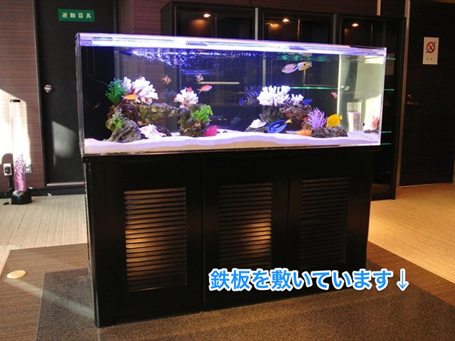 鉄板を敷いた黒い水槽台と海水魚が泳ぐ大型水槽