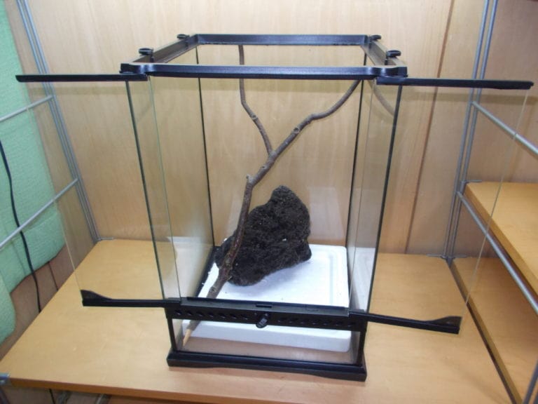 流木と黒い石を配置した爬虫類用ケージの前面開放状態