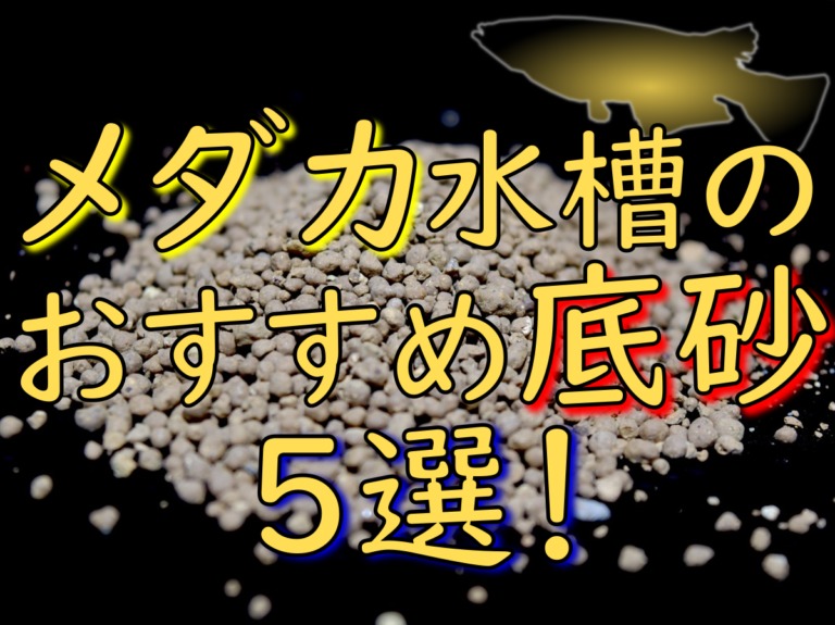 メダカ水槽のおすすめ底砂5選の文字とソイルの画像
