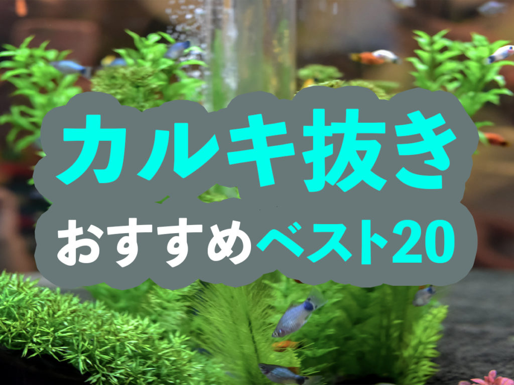 カルキ抜きのおすすめベスト20!アクアリウムで優秀なカルキ抜き剤を選出のサムネイル画像