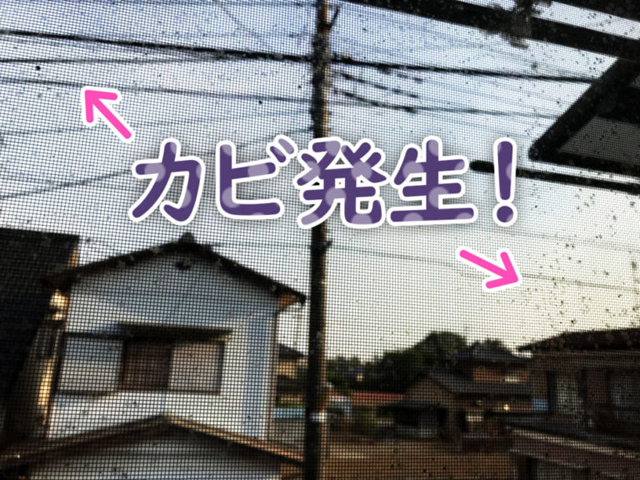カビ発生！の文字と黒い斑点がある網戸の見出し画像