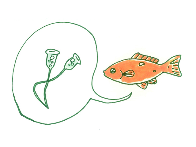 オレンジ色の魚と吹き出し内の微生物のイラスト