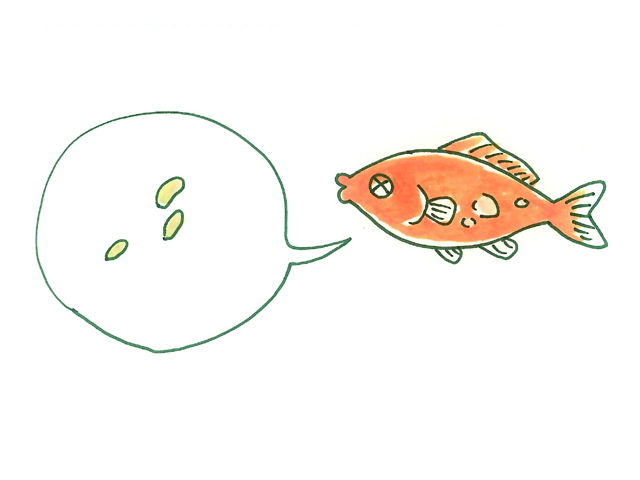 吹き出しと餌を連想する金魚のイラスト