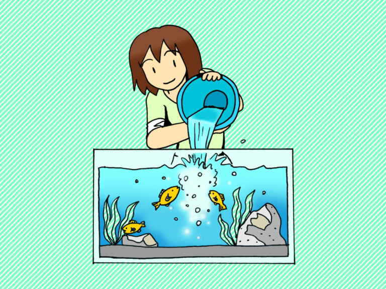 バケツで水槽に水を注ぐ女性と泳ぐ魚のイラスト