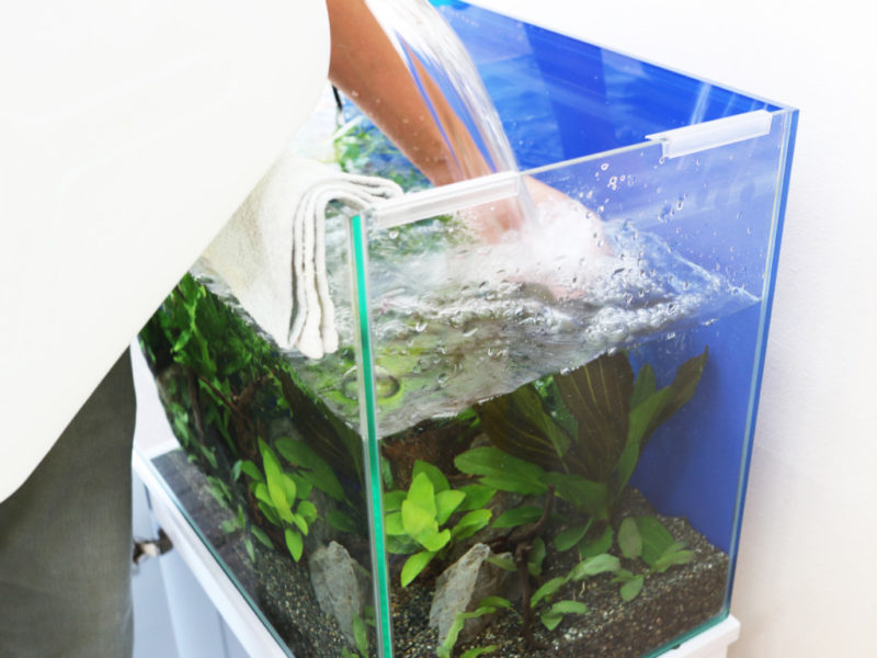 水草水槽へ注水する手と水面に広がる気泡と波紋