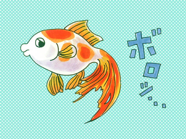 尾ぐされ病の治療法！悪化すると厄介！症状と根本的な対策・解決方法とはのサムネイル画像
