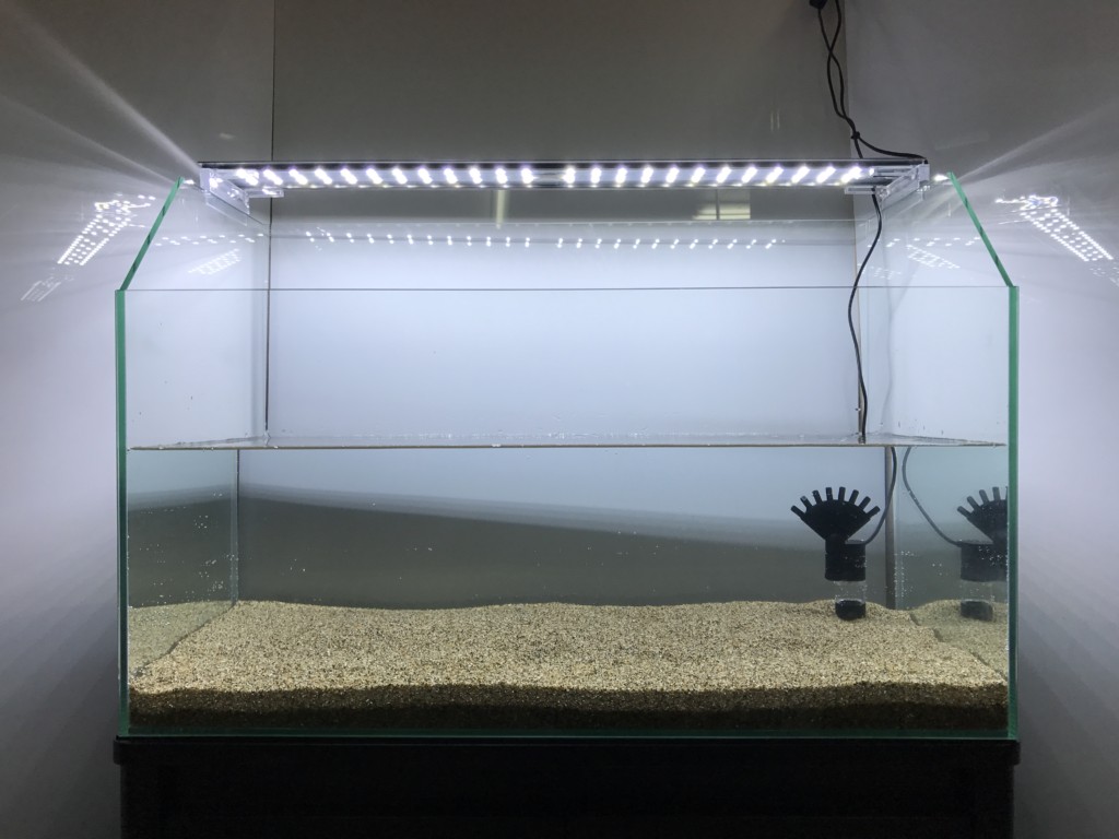 LEDライトを点灯した砂利敷きの空の水槽