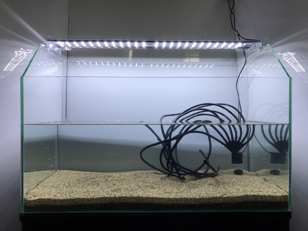 底砂と水が入ったLED照明付きの空の水槽