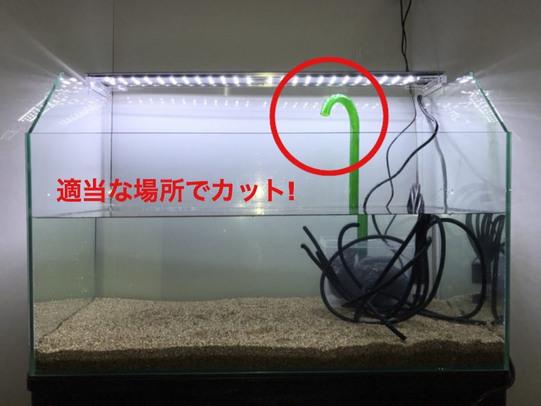適当な場所でカットの文字と水槽内の緑色パイプの画像