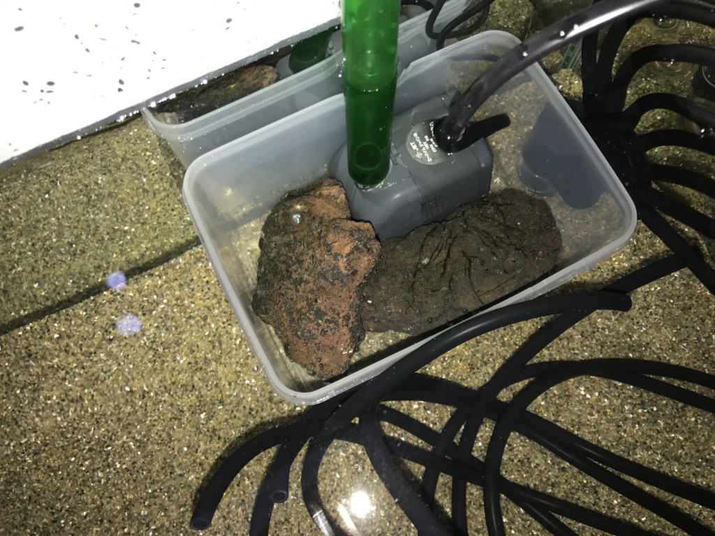プラスチック容器内の水中ポンプと溶岩石とホース