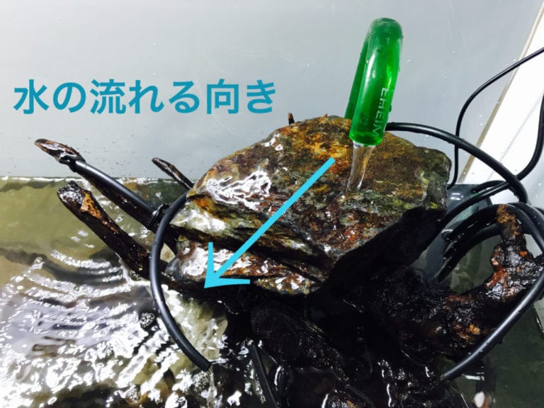 水の流れる向きのテキストと岩を伝う水流の解説画像