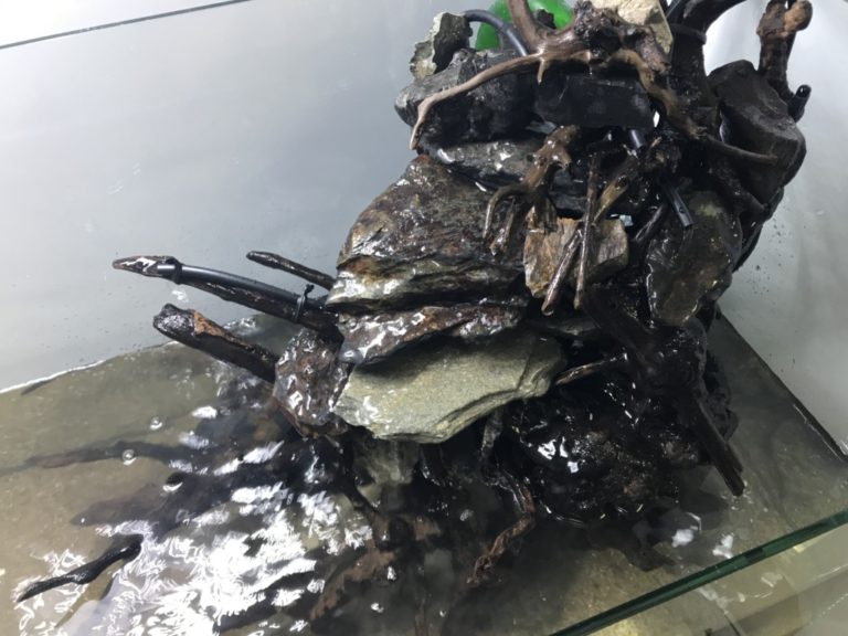 水槽内に組まれた石と流木のレイアウト構造物