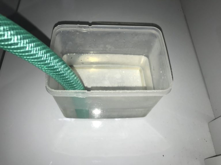 プラスチック容器に入れた緑色のホースと飼育水