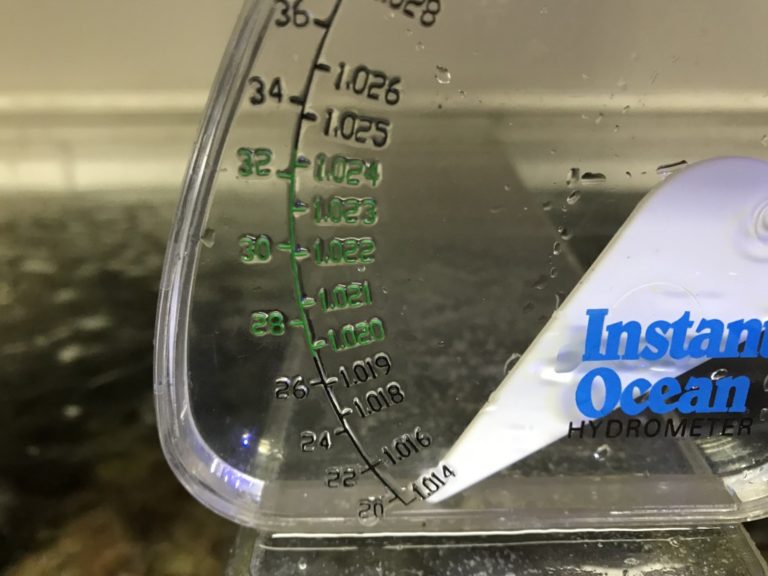 比重計の目盛りを指す白い針と透明なプラスチック容器