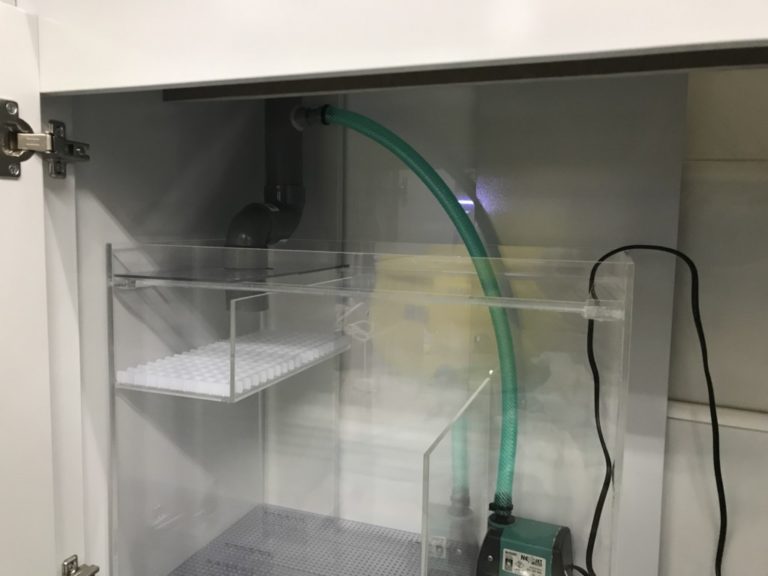 水槽台内に設置されたオーバーフロー水槽用ろ過槽とポンプ
