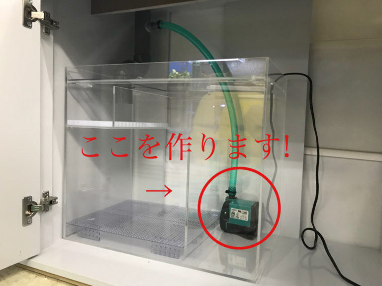 ここを作ります!の文字と水槽内の水中ポンプ