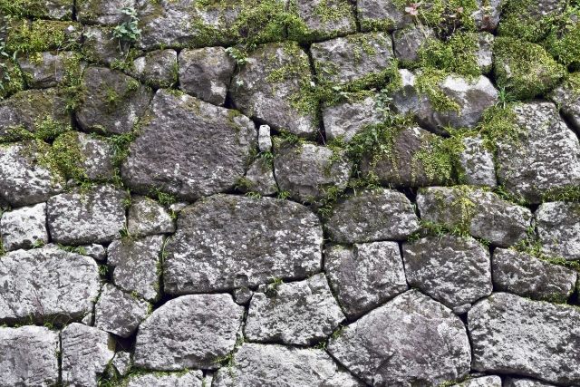 隙間に苔や植物が生えた古い石垣の壁面
