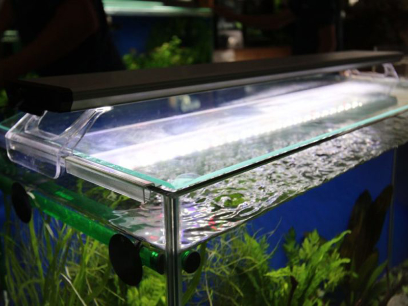 水槽上部に設置された薄型LED照明と水面の波紋