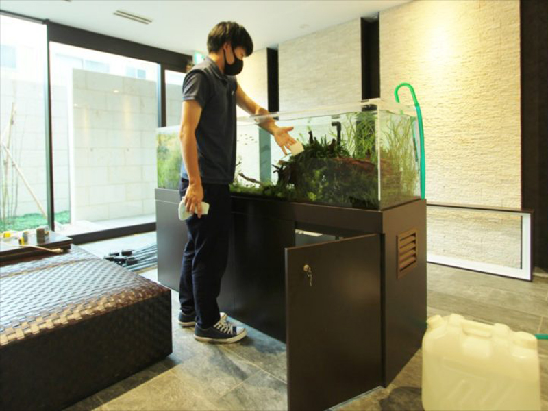 水草水槽のメンテナンスを行うスタッフと大型水槽台