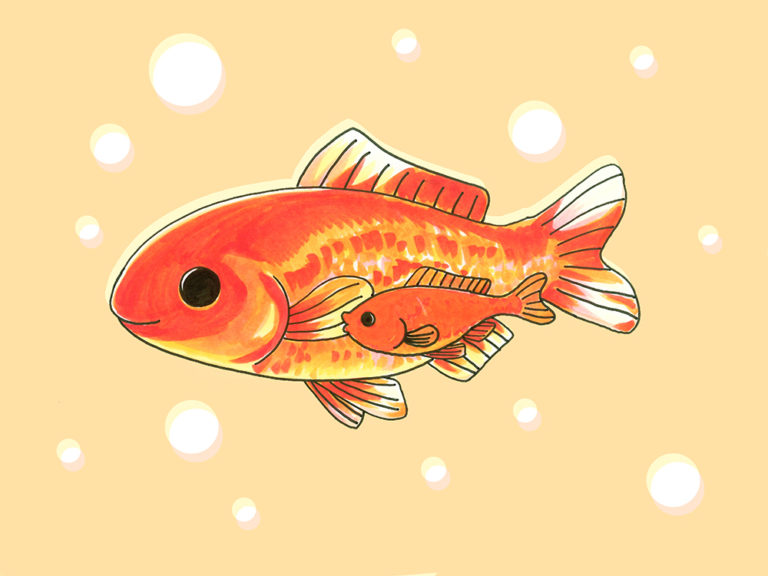 オレンジ色の背景に描かれた大小2匹の金魚のイラスト