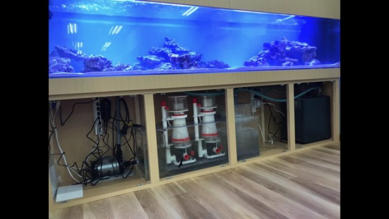 大型海水魚水槽と台座内に設置されたろ過システム一式