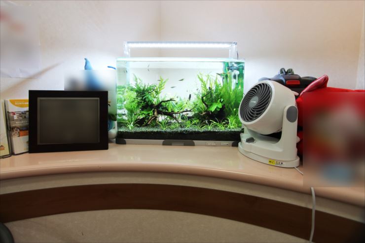 サーキュレーターを横に置いた水草レイアウト水槽