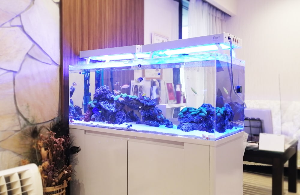 立川市 美容サロン様 店内で輝く120cm海水魚水槽 水槽リース事例のサムネイル画像