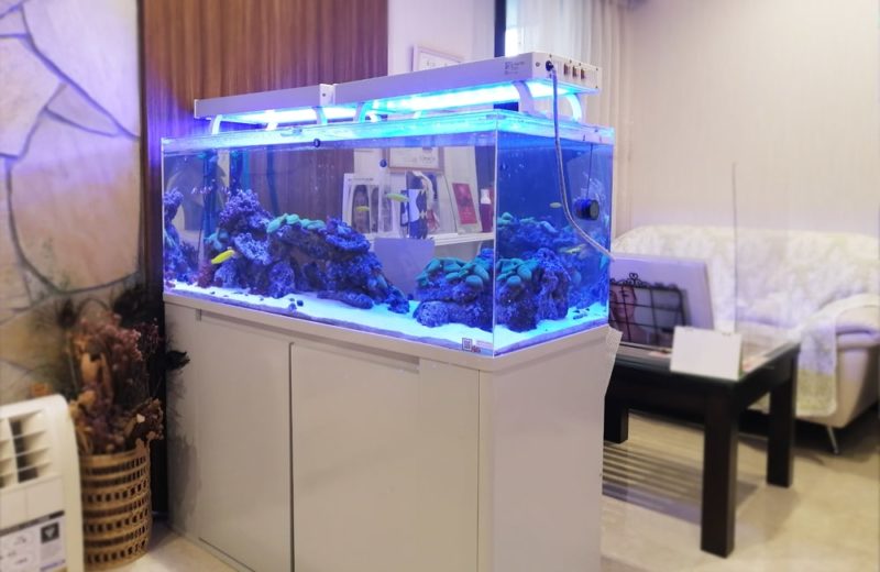 立川市 美容サロン様 店内で輝く120cm海水魚水槽 水槽リース事例 水槽画像5