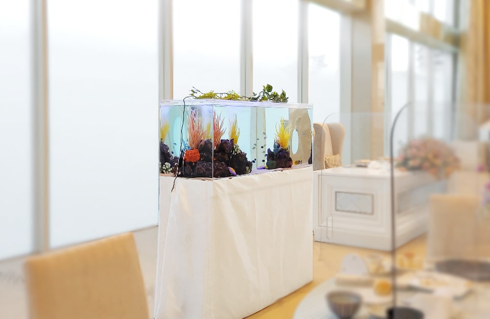 水槽　レンタル　短期間